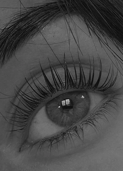 LVL Lash Lift